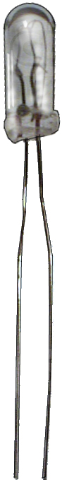 ampoules 