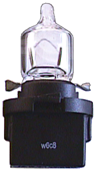 ampoules 