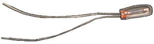 ampoules 
