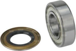 Kit de roulements 20x42x12 mm + joint spi 141009