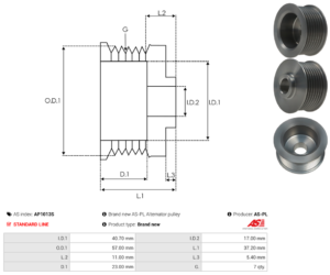 Poulie alternateur AP1013S