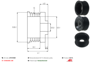 Poulie alternateur AP1019SR