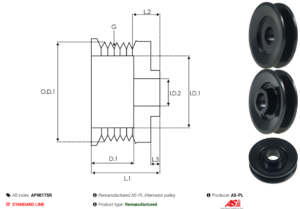 Poulie alternateur AP9017SR